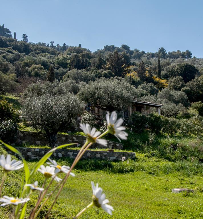 Villa Collina Vasilikos Exterior photo